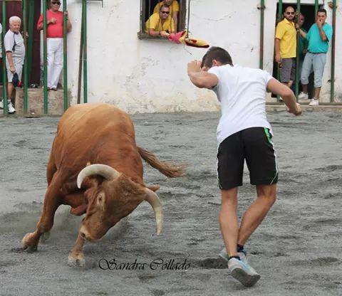 Tenemos nueva colaboradora @sandra_0496 aquí tenéis unos de sus bonitos trabajos... Bienvenida a <a href="/ArribesTaurinas/">Arribes Taurinas</a>