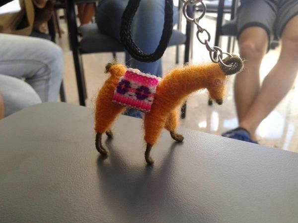 PadronJeffrey's tweet photo. This is kusko the pet of the class #1primary2 http://t.co/Noiez38zZK