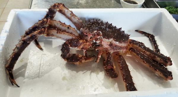 Non un semplice #granchio ma il King Crab,unico se cucinato con il metodo #Kanton!Prenotazioni con anticipo di 48ore!