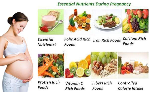 Daily Health Tips on Twitter: “Essential nutrients during Pregnancy #