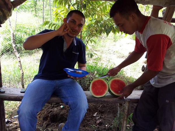 ferialfian's tweet photo. Pajoh bue si iteik bak lampoh serba Na.. #lamno #berkebun @MsyaCabrera @ilovelamnodaya http://t.co/Fb4HlsoXB0
