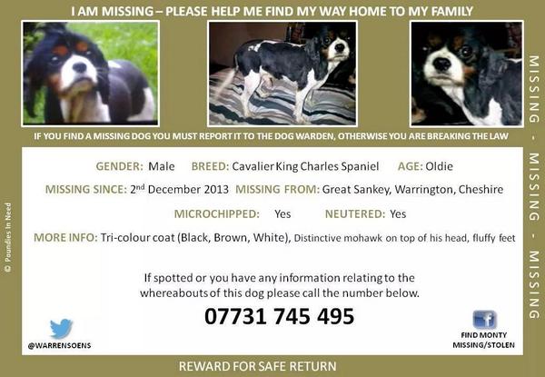 MONTY STILL MISSING SANKEY WA5 WARRINGTON TRI COLOURED (BLACK WHITE BROWN) WITH A TUFFED ON HEAD CHIPPED NEUTERED