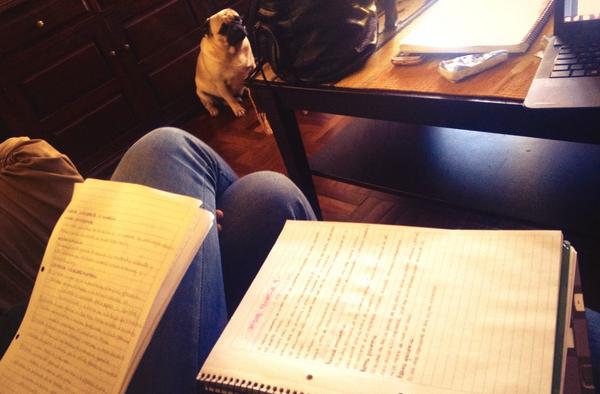 Desde bien tempranito estudiando con <a href="/TatianaScariato/">Tati.</a> 📕📒✏️📓📚📖🎓