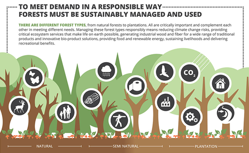 Corporate social responsibility principles. леса россии инфографика. Being responsible for kids. Can be responsible. To be responsible for.