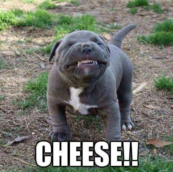 dlmasters6670's tweet photo. Have a wonderful Monday! http://t.co/9FHJWhTCYF