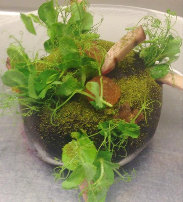 ChefAllenHess's tweet photo. It's alive. Stuffed beets goat cheese and bacon@edibleHI #chefallenhess @beardfoundation http://t.co/D7eU0TOzZW