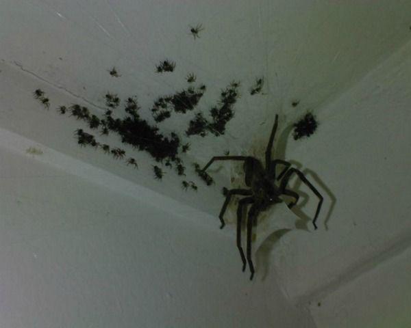 Coolpool79's tweet photo. RT or this will be on your wall tonight http://t.co/luaMumGMoK