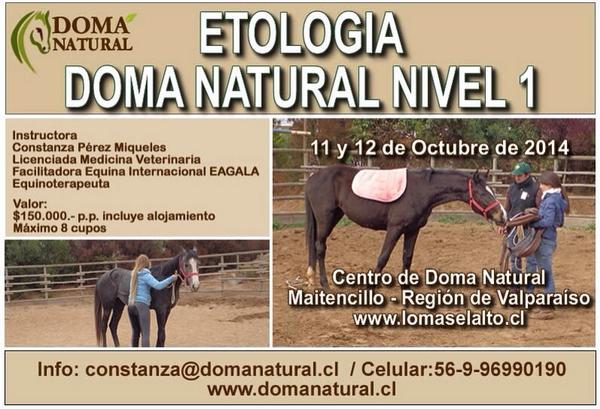 Domanatural's tweet photo. 11y12 Oct. Maitencillo. R. Valparaíso
constanza.equs@gmail.com
Cel. 9699 01 90
http://t.co/JKW1DJIV6A http://t.co/2Wsb7vrfhf