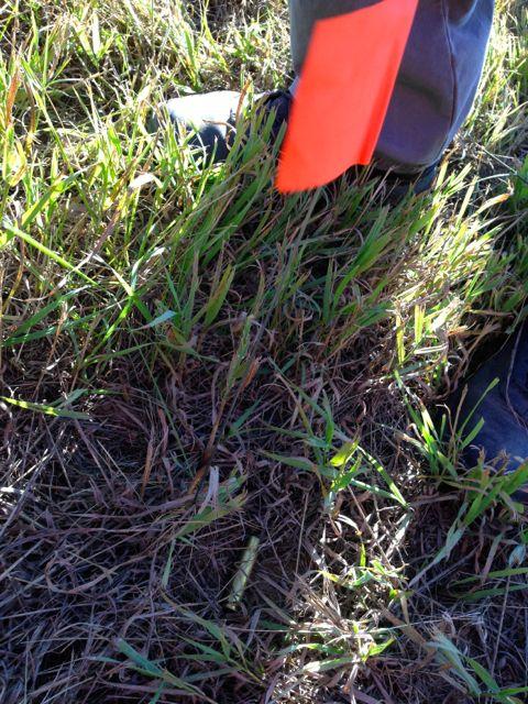 SaskatoonSAR's tweet image. Evidence search training by SSAR member @markwells318 tinyurl.com/o9oxscp Thx @RCMPSK Sgt. Garvey #takegoodnotes