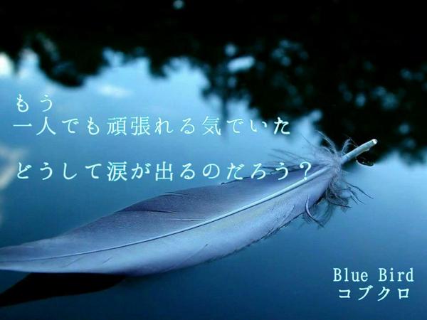 聖隼歌詞画垢 Pa Twitter 生存報告 励みにしている音楽 Blue Bird コブクロ 蒼く優しく コブクロ 風見鶏 コブクロ 全部 コブクロ Http T Co T1jfathvfg