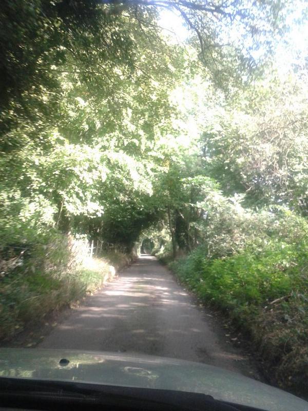 emiogapresents's tweet image. Taking the scenic route to a friend's home yesterday... *what, the squirrels..!* #satnavfail