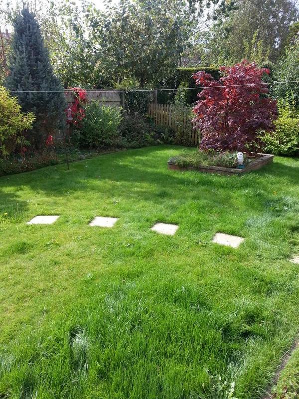 msg_garden tweet picture