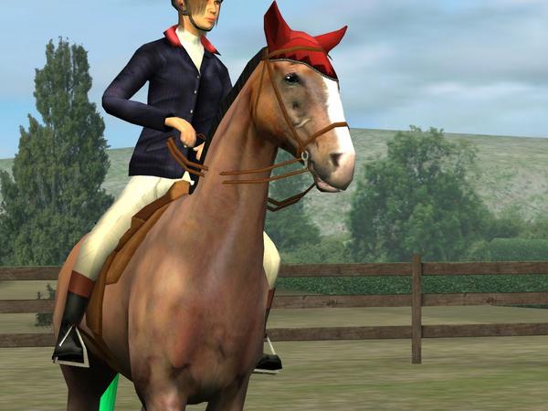 Check out my photo! Add me, Crossfamily. #MyHorse  nmgam.es/horse_twitter
