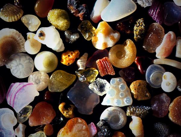 ehutty's tweet photo. This is what sand looks like under a microscope. http://t.co/cSE9JB4rW7
