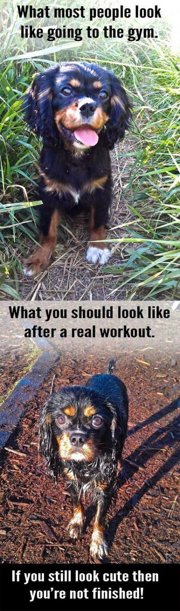 EWTO-MADRID tweet media