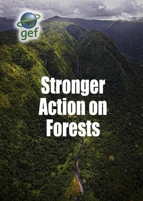 We strengthened our support for #forests. It's time to act now! ow.ly/BMqix #Climate2014 #ClimateAction