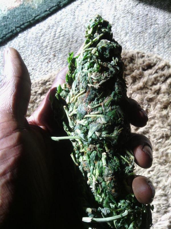 Munchees tweet media