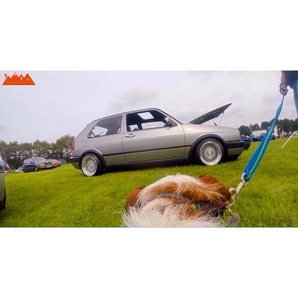 HobbyMounts's tweet image. Great shot captured on the new GoPro Fetch Dog Harness #gopro #goprocornwall