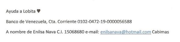 enilsan's tweet photo. Colaboremos con lobita para que camine de nuevo♥ su cirugia es urgente... costo 9.800 bs.f .. ayuda 0424 6211370 http://t.co/ZdIbdnOR1k