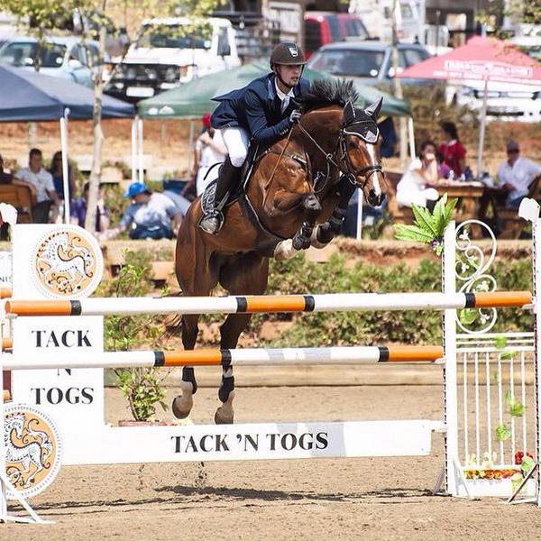 Aj8224's tweet photo. My three Champions :):) #horses #Showjumping http://t.co/jf6eSx3sb6
