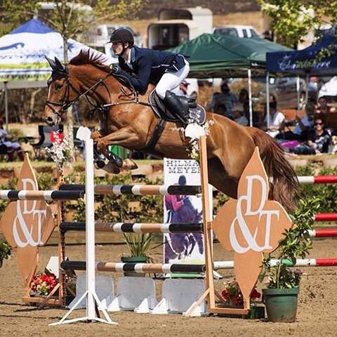 My three Champions :):) #horses #Showjumping