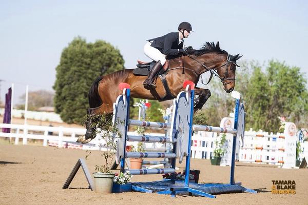 Aj8224's tweet photo. My three Champions :):) #horses #Showjumping http://t.co/jf6eSx3sb6