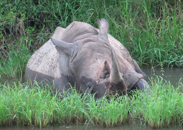 Daniella L tweet media