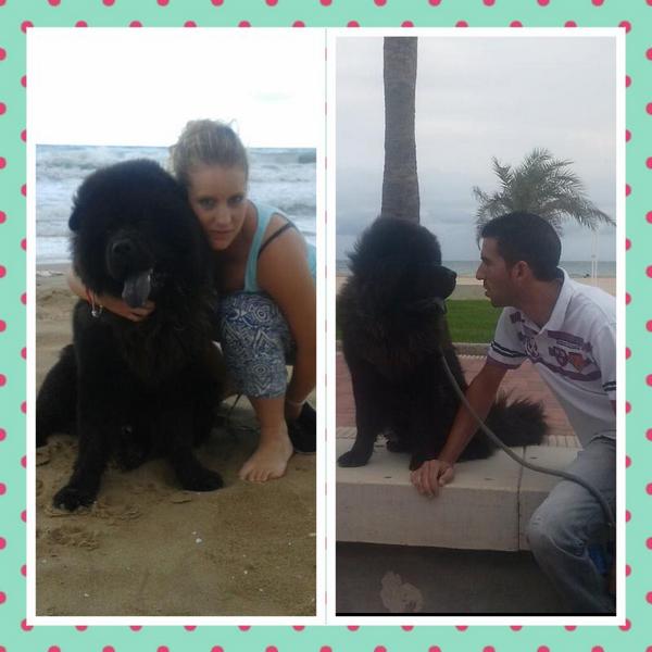loly_peke's tweet photo. Que bien q stamos @salaopozoblanco #oso y yo!mejor cumpleaños imposible#os qieroo! http://t.co/EoruwbMO0B