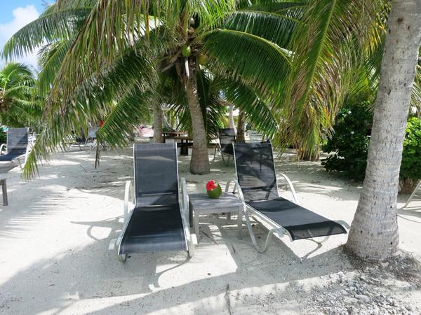 PaulGauguin's tweet photo. Mid-day on Monday - take a mental vacation with us! #Tahiti Break #BeBackIn5 http://t.co/RJnqlTClSb http://t.co/q1GXqDnx9K