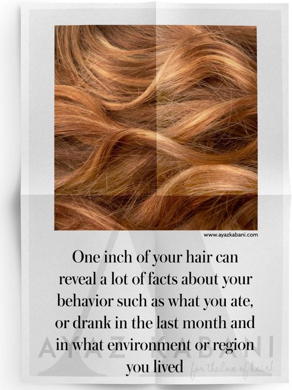 AyazKabani's tweet photo. #DidYouKnow ? Interesting #hair facts for our #hairdressers Friends! #StyleFacts #Hairfacts http://t.co/3akXPjaX6X