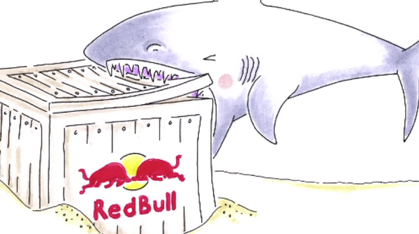 Red Bull On Twitter Welcome To Flying Planet Where Sharks Get