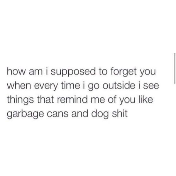 funnyorfact's tweet photo. Seriously 😭😂 http://t.co/EslLOJy0SJ