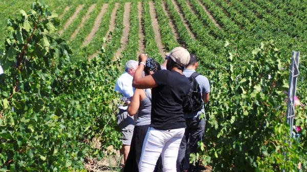 Deltab1212's tweet photo. At the winery http://t.co/2mPGT5RtNo
