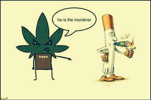 TigerRose420's tweet photo. He 🚬 is the murderer!

#LegalizeMarijuana http://t.co/LBO7rbCe6y
