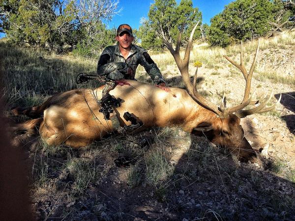 BurroughBeau's tweet photo. Arrowed My 1st Bull 44Yards in New Mexico Thanks @kryptekoutdoors @EastonArrows @Mathews_Archery @UAHUNT #FirstBull http://t.co/Nt1KJRripT