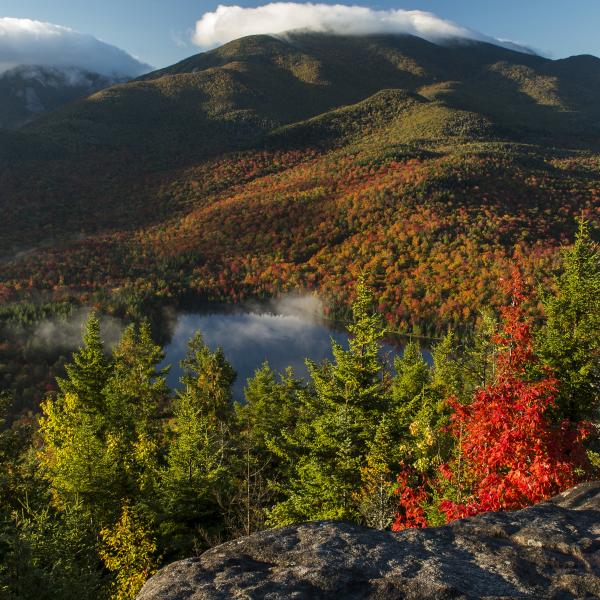 I_LOVE_NY's tweet image. Happy Fall! From scenic drives to apple picking and farmers markets, you can find it all in NY iloveny.com/fall