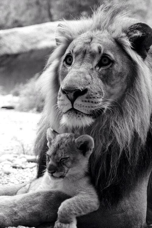 CuteX10000's tweet photo. Now that's a good Father http://t.co/7uHF1mM8m2