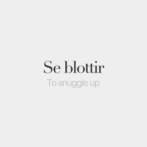 Se blottir | To snuggle up | /sə blɔ.tiʁ/ #frenchwords