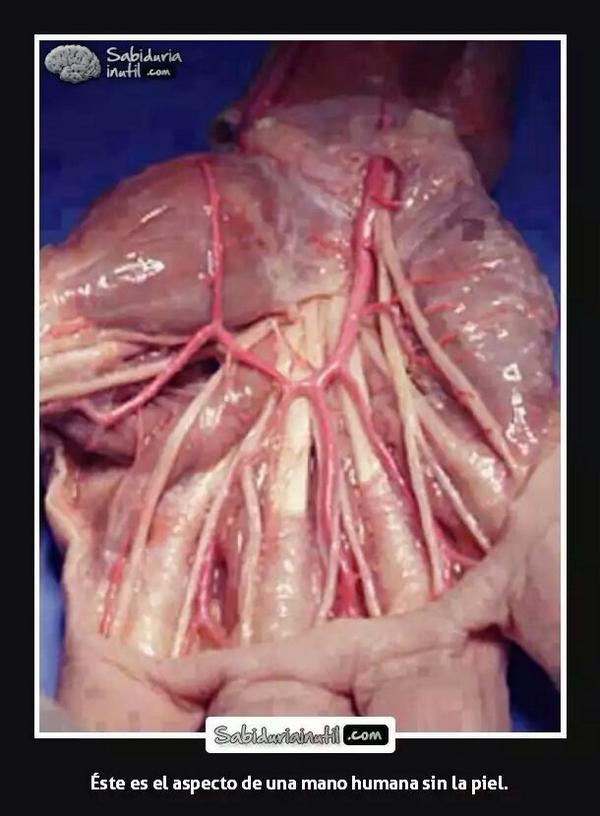 Luz_RDP's tweet photo. Ohhhhh jesuuuuus que ascooooo😱 http://t.co/OJcKbZITee