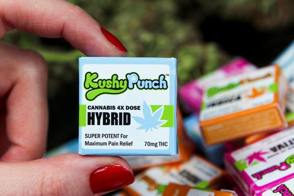 kushypunch's tweet photo. Engage on your creative energies with this small pack. #KushCandy #MedicalMMJ #medicated #medicalmarijuana #cannabis http://t.co/juNM5cszcL