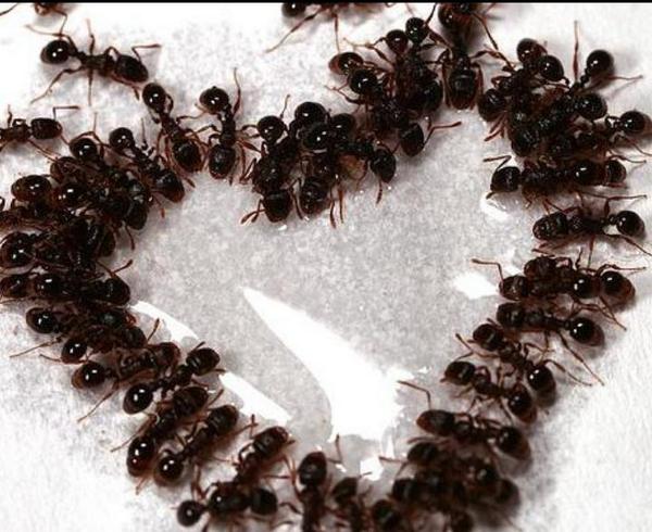 TESDSupport's tweet photo. #TESDlisteningsupportgroup #eps52
Fibber McChen
7pt/9ct/10et
Everyone welcome! #YOHO http://t.co/9ajWApCPad