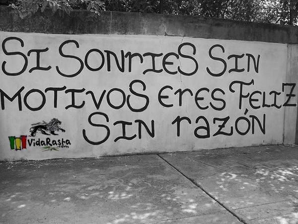 Vida Rasta tweet media