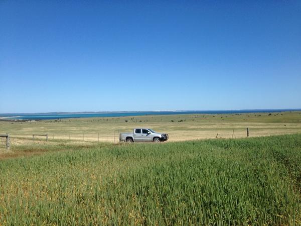 Can't decide if this is a good or bad view monitoring crops!!