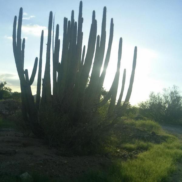 JFSBeltran's tweet photo. Verde #ViveDisfrutaYComparte http://t.co/STq9gfq27U