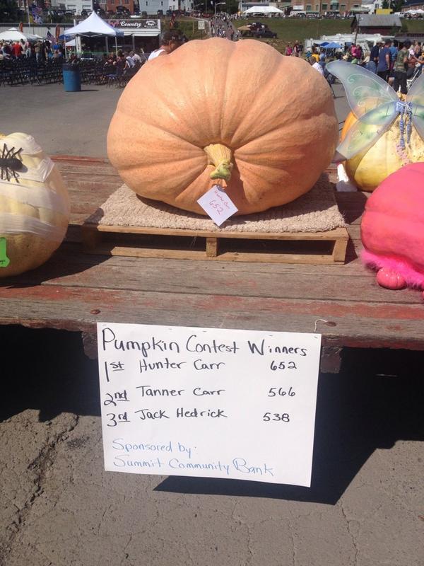 jdecker86's tweet image. The winning pumpkin at a festival in my home town.. Now that's a lot of pies!