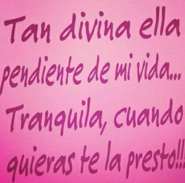 Alexagdtv's tweet image. 😏😏😏😏😏😏😏😏 #StalkerEnPotencia