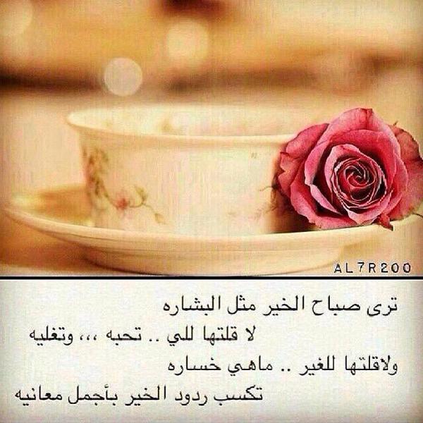 AMm16999's tweet photo. صباح الخير .. 💐💐💐 http://t.co/tMGkZIoehU