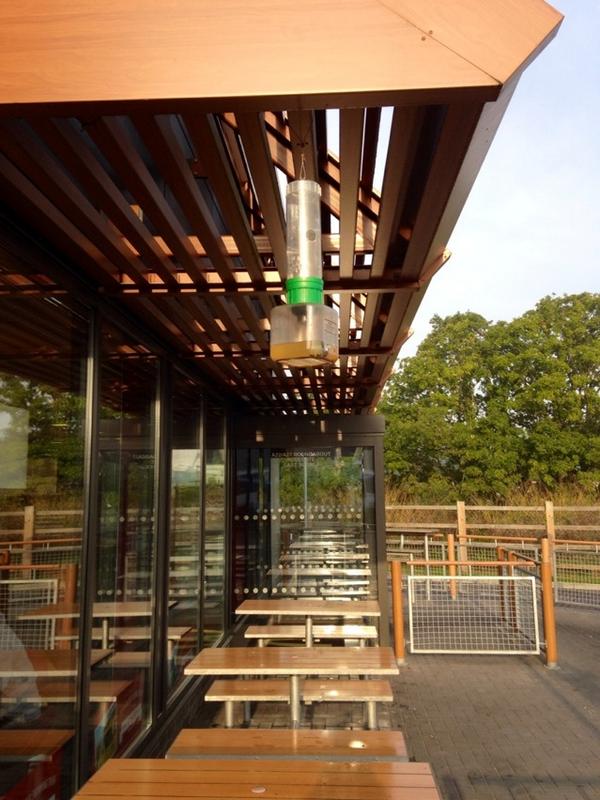 Is this ok? I found hanging above McDonalds tables a clear trap to kill wasps full of corpses. Gross? cruel? Both?