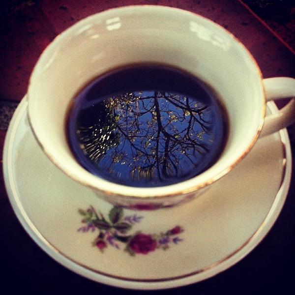 The reflection of a #tree on a cup of #coffee by #ManuelBonells. The perfect way to #inspireyourday! #CafedeColombia