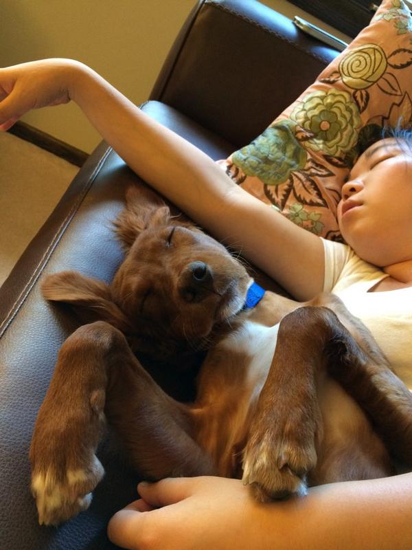 Chrisnelj's tweet photo. Peas in a pod #kindredsleepers http://t.co/vUGUuBRRIA